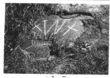 Tesouro da Pedra da Montanha - História Real